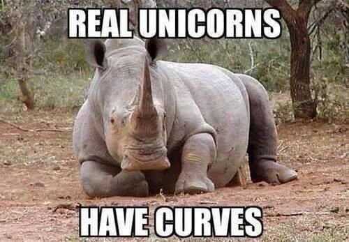 real unicorns have curves