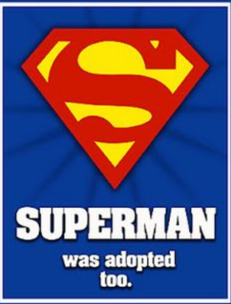 Screen Shot 2017-08-15 at 9.53.08 PM