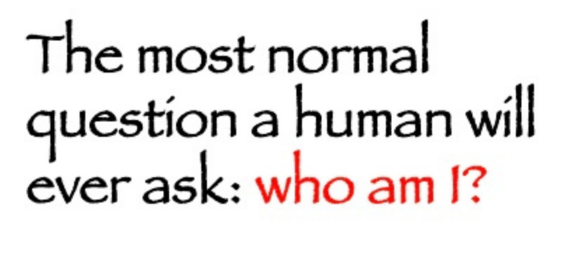 Screen Shot 2017-08-15 at 9.56.57 PM